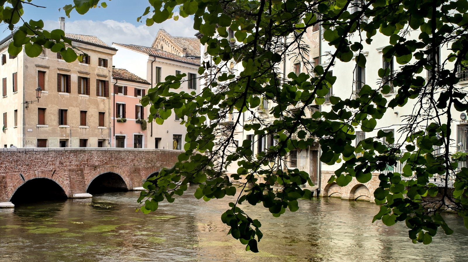 Scorcio di Treviso